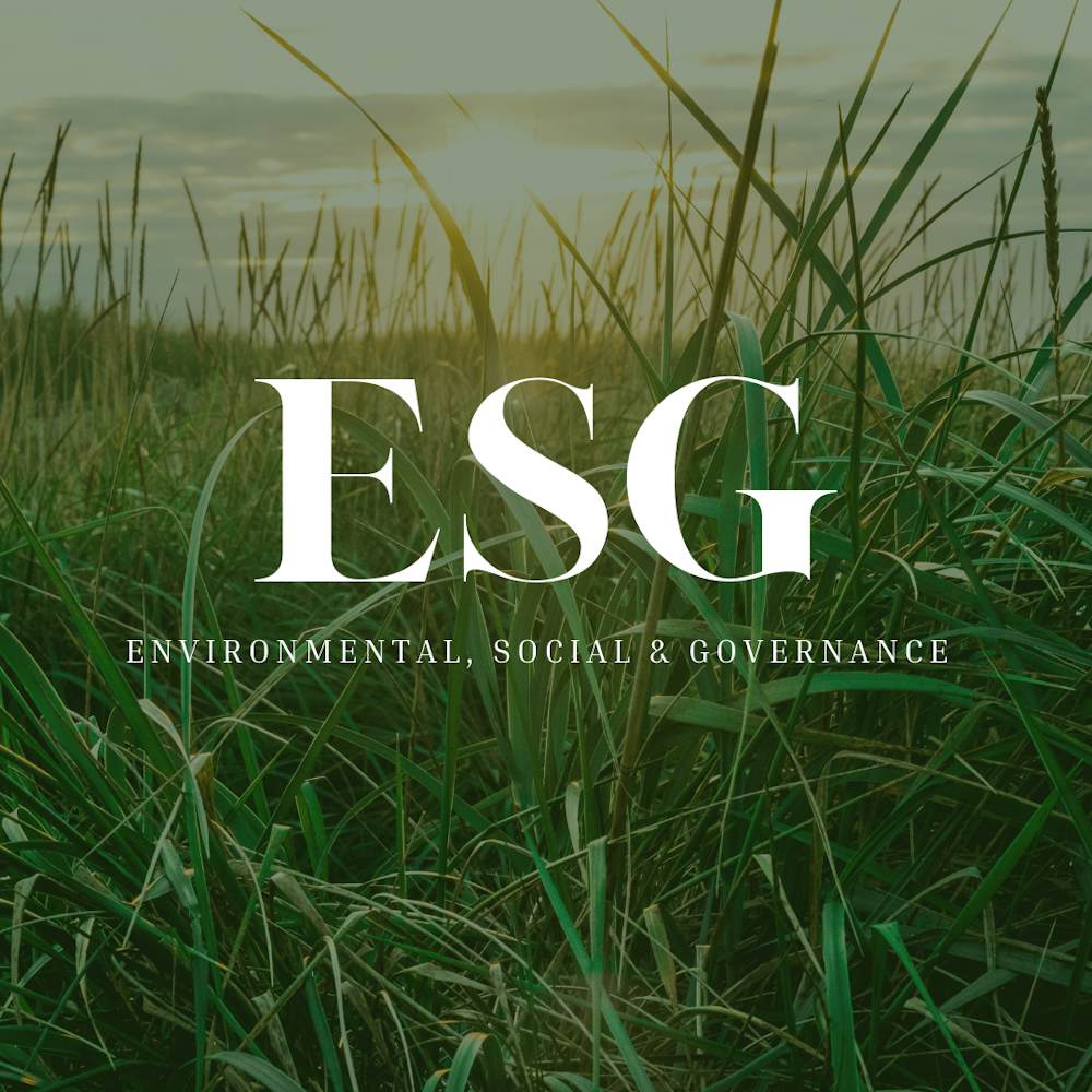ESG part 2: The Ben Nye addition