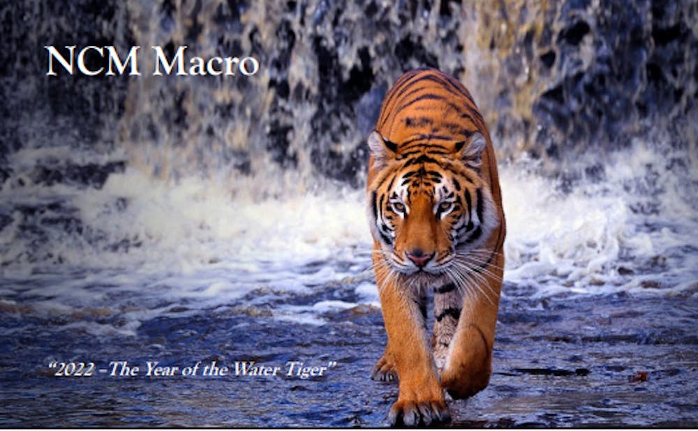 Q4 2021 Macro Presentation: The Year of the Water Tiger