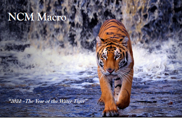 Q4 2021 Macro Presentation: The Year of the Water Tiger